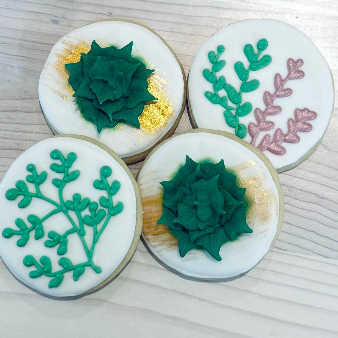 Succulents