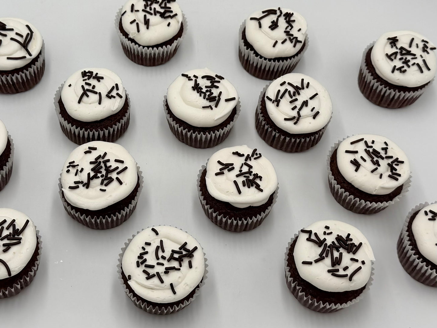 Chocolate Cupcake 1 dz