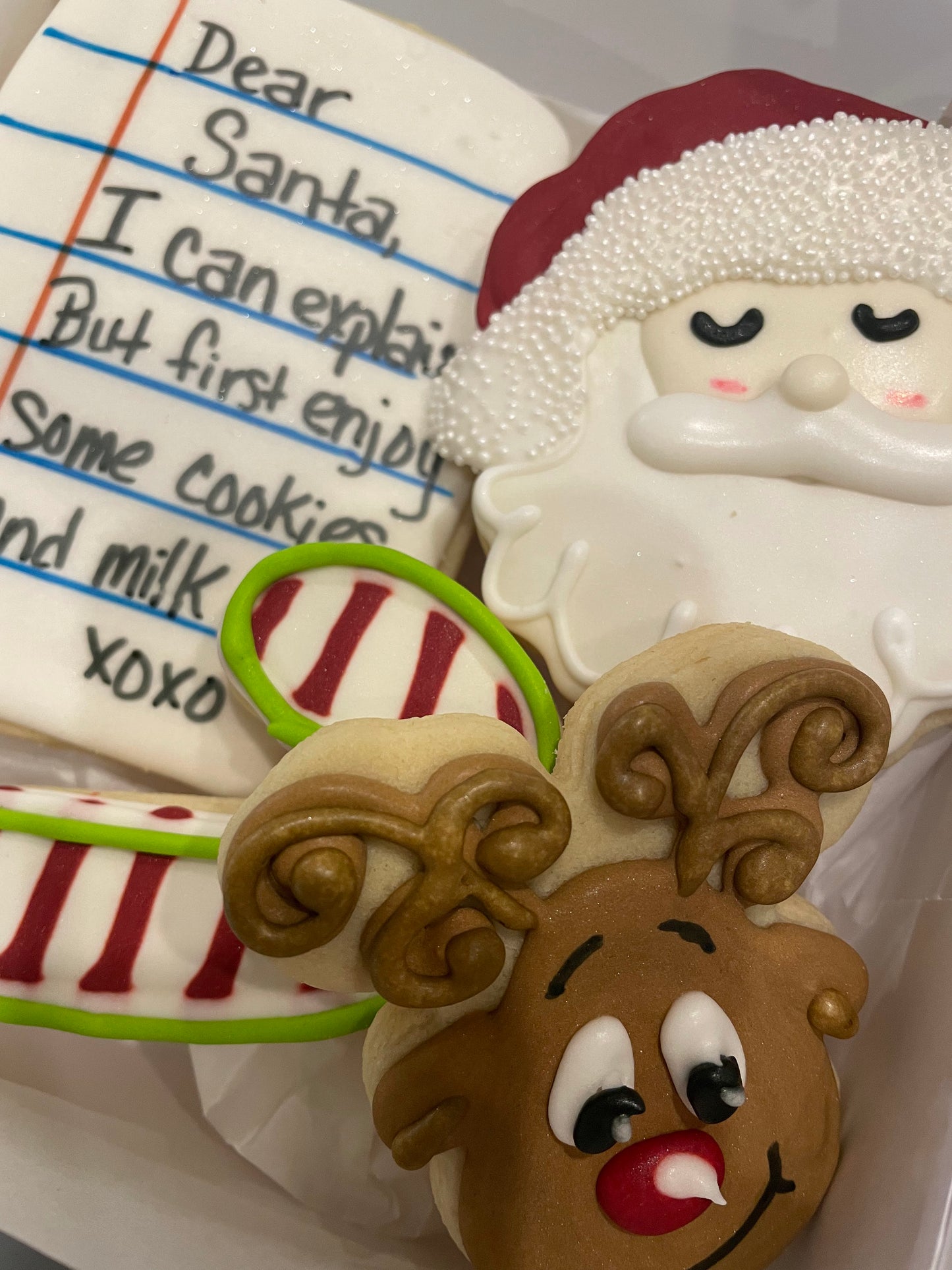Dear Santa Letter, Reindeer, and Santa