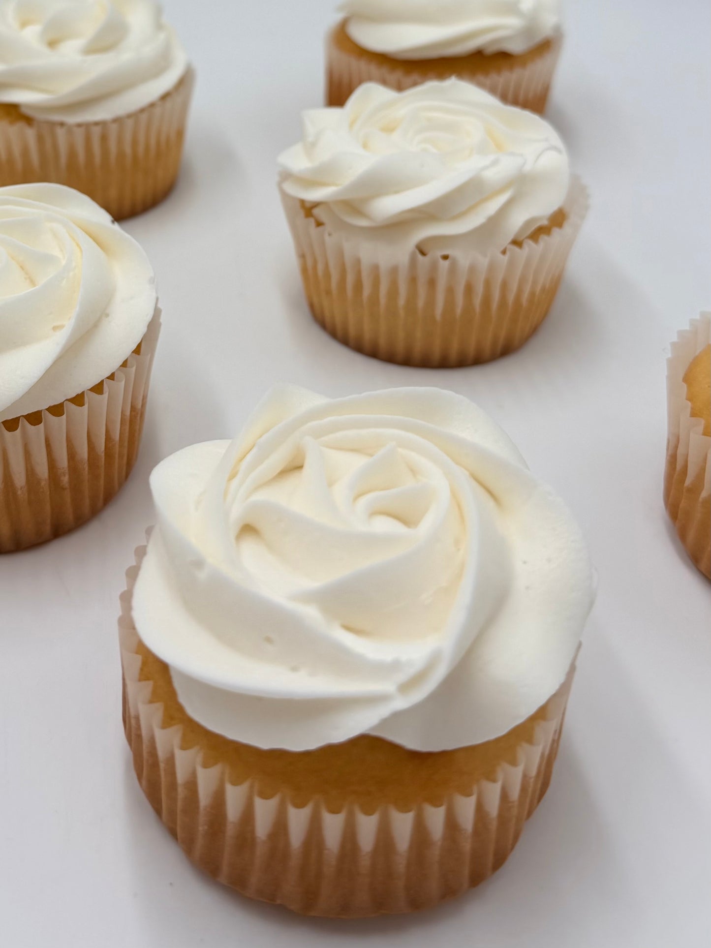 White Cupcake 1 dz