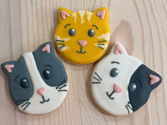 Cat Faces