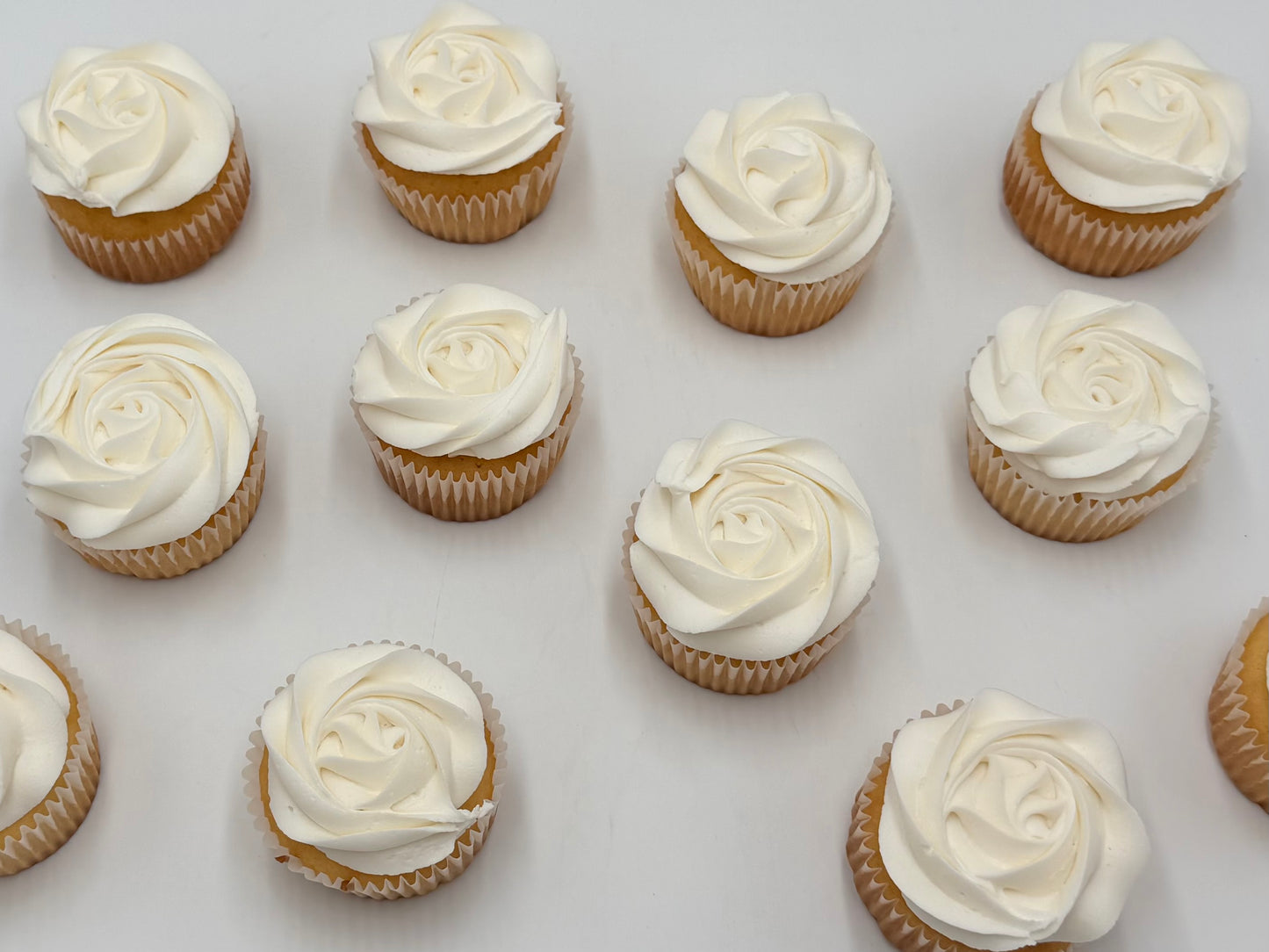 White Cupcake 1 dz